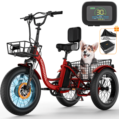 Lilypelle Electric Tricycle for Adults,15.5MPH 500W 48V 14.5Ah Lithium Battery UL Certified, 7-Speed Aluminum Ebike 3 Wheels Bike with Front & Rear Baskets,20x4in Fat Tire E-Trike
