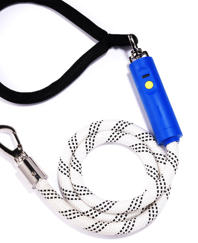 Xeuch LED Dog Leash 4FT Rope with Soft Padded Handle, Exciting Flashing Color Changing Pet Leashes, Heavy Duty Nylon Leash for Small Medium Large Dog Walking, Training, Playing, Camping or Backyard