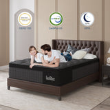 Duchessz 14inch Queen Mattress with Gel Memory Foam Hybrid Mattress in a Box Medium Firm,Adult