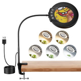 10X Magnifying Glass Lamp with Light and Stand, 5Color Modes & 5 Brightness Levels, Adjustable Swivel Arm for Close Work, Reading, Crafts, Repairing