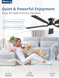 Zardon 52 inch Ceiling Fan with Light and Remote Control, 6 Speed Settings, Indoor Use, Black
