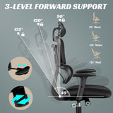 CoolHut Ergonomic Office Chair Desk Chair High Back Computer Chair with Lumbar Support, High-Sponge Cushion Home Office Chair, 300lbs, Black