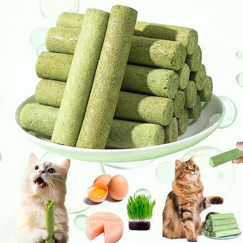 Cat Grass Teething Stick Cat Treats, Cat Grass Sticks for Indoor Cats, Cuddles and Meow Cat GrassSticks for Hairball, Cat Chew Stick Natural Molar Rod, Cat Grass Sticks Increase Appetite - 5.3oz