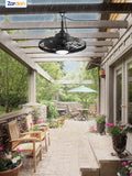 Zardon 20" Waterproof Caged Ceiling Fans with Lights and Remote Control, Outdoor and Indoor, Black