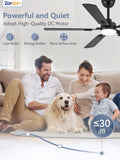 Zardon 52" Modern Black Ceiling Fan with Light and Remote Control, Ultra-Quiet DC Motor, 3 Color Temperatures, Timer for Bedroom and Living Room