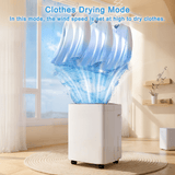 Rocyis 50-Pint Dehumidifier with Drain Hose, Max 3500 Sq. Ft. Dehumidifiers for Home Basement & Large Room, 3L Water Tank, Auto Defrost& Drain, 24H Timer