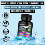 TM Naturals Sea Moss with Black Seed Oil for Hair & Ashwagandha - Immune & Energy Support - 60 Vegan Capsules with Free Pill Box1