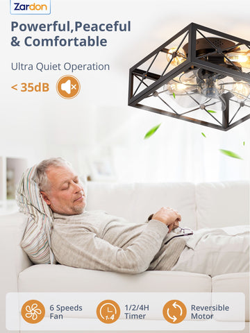 Zardon 16" Black Caged Ceiling Fan with Light & Remote – 6-Speed Quiet DC Motor, Indoor Fan for Bedroom, Kitchen, Living Rooms - Black