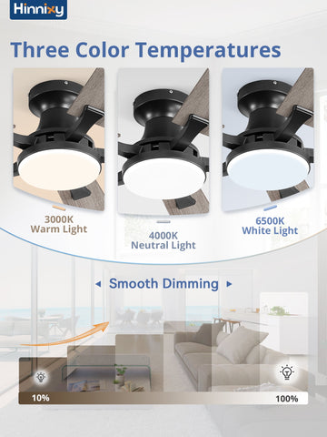 Zardon 52 inch Ceiling Fan with Light and Remote Control, 6 Speed Settings, Indoor Use, Black