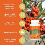 Premium Sea Buckthorn Oil Softgels with Omega-7, Max Potency, 120 Count - Supports Skin, Gut, and Overall Wellness-1（Pack)（