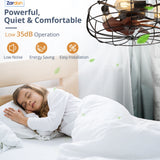 Zardon 20" Black Caged Ceiling Fans, Low Profile with Lights and Remote, Flush Mount Reversible 6 Speeds, Ideal for Indoor