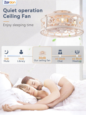 Zardon 16-Inch Flush Mount Ceiling Fan with Light - Remote Control, 6-Speed, Gold for Indoor Use