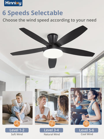 Zardon 48 inch Smart Ceiling Fan with LED Light Kit - 6-Speed Remote Control, Black Finish for Indoor