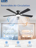 Zardon 52 inch Ceiling Fan with Light and Remote Control, 6 Speed Settings, Indoor Use, Black