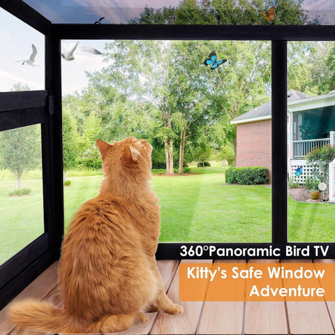Cat Window Box Window Perch Catio Outdoor Cat Enclosure Bug Proof Wire Grid