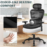 CoolHut Ergonomic Office Chair Desk Chair High Back Computer Chair with Lumbar Support, High-Sponge Cushion Home Office Chair, 300lbs, Black