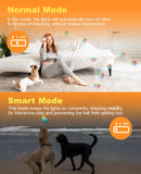 Xeuch Light Up Dog Toy Ball, Rechargeable Bounce Activated Durable Fetch Ball, Newest Model Multicolor-Changing, Natural Rubber