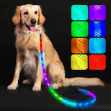 Xeuch LED Dog Leash 4FT Rope with Soft Padded Handle, Exciting Flashing Color Changing Pet Leashes, Heavy Duty Nylon Leash for Small Medium Large Dog Walking, Training, Playing, Camping or Backyard