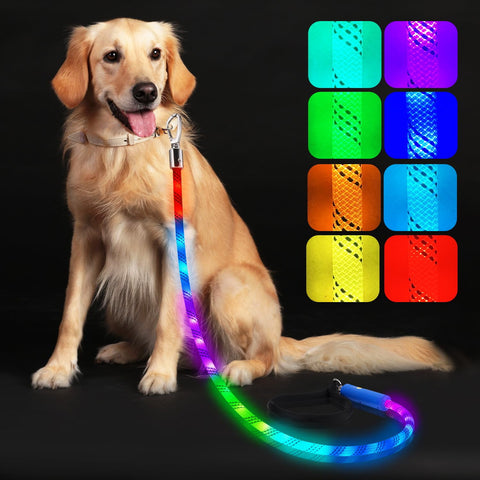 Xeuch LED Dog Leash 4FT Rope with Soft Padded Handle, Exciting Flashing Color Changing Pet Leashes, Heavy Duty Nylon Leash for Small Medium Large Dog Walking, Training, Playing, Camping or Backyard