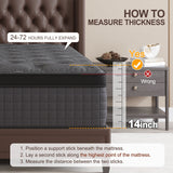 Duchessz 14inch Queen Mattress with Gel Memory Foam Hybrid Mattress in a Box Medium Firm,Adult